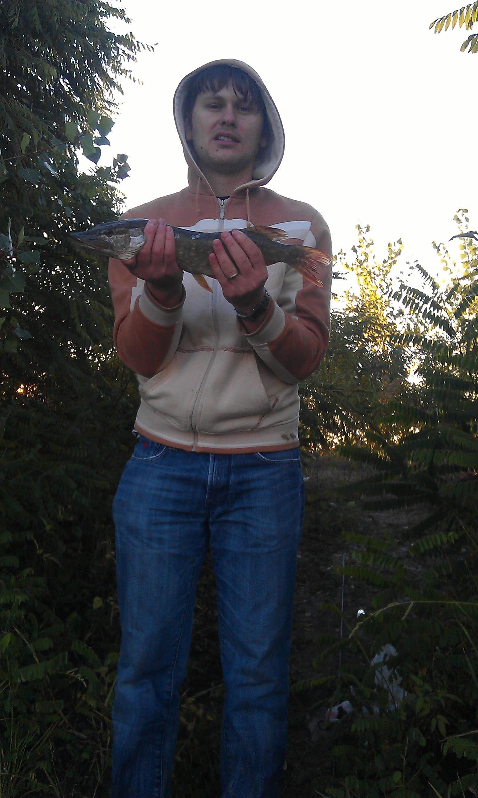 Pescuit la stiuca in lunca Argesului - stuca.jpg